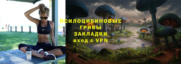 таблы Богданович